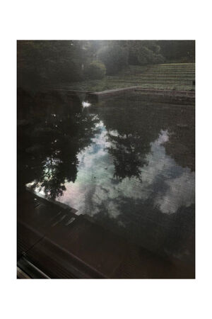 Basel Kunst Amy Brooke