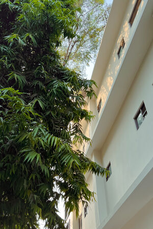 INA KENT Noida 